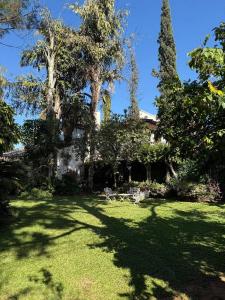 Nudellman casi Alas Paraguayas , Mcal. Estigarribia, Asunción 00001, 巴拉圭