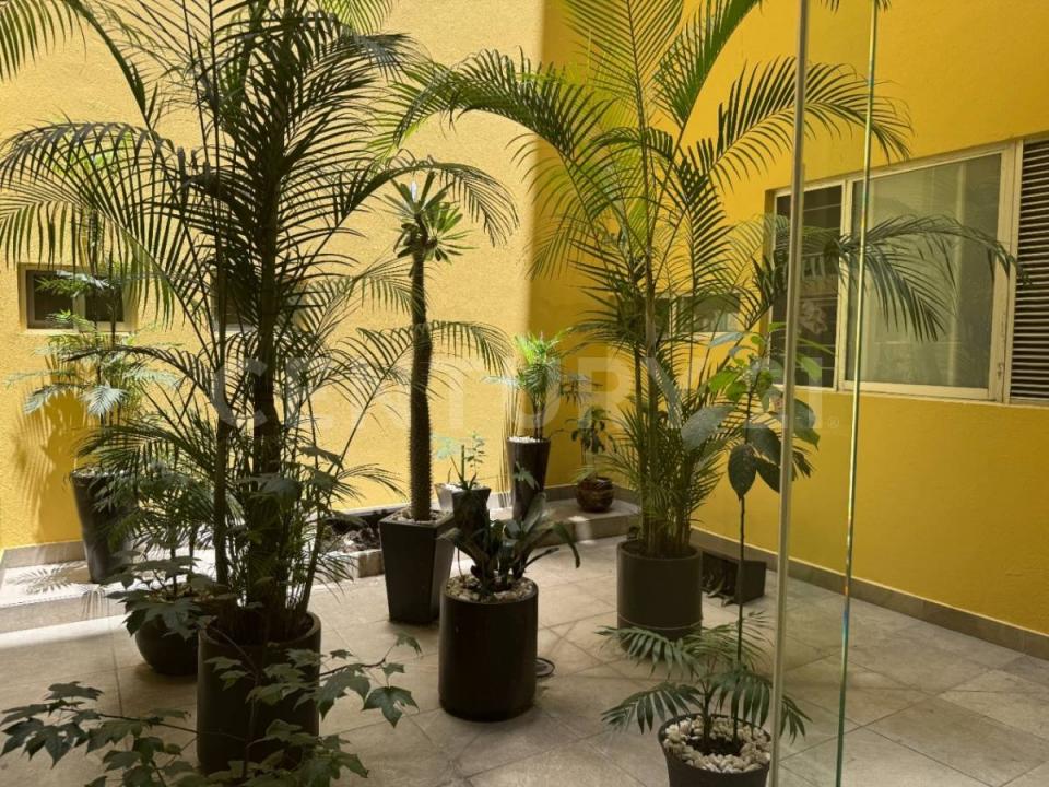 Calle Uno 9,, Benito Juárez, Ciudad De México 03240, מקסיקו 