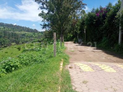 Ixtacuixtla De M Matamoros, ولاية تلاكسكالا 90120, المكسيك