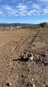 Sucre, Chuquisaca 00001, Bolivia