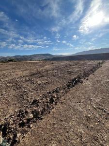 Sucre, Chuquisaca 00001, Bolivia