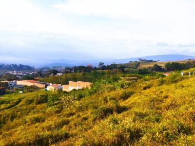 Puerto Palmira Calle Los Guasimos parcela 8, Guásimos, Táchira 5015, ונצואלה 