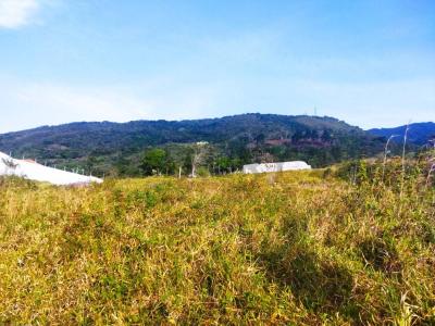 Puerto Palmira Calle Los Guasimos parcela 8, Guásimos, Táchira 5015, ונצואלה 