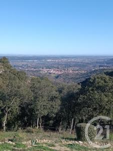 Ceret, Languedoc-Roussillon 66400, France