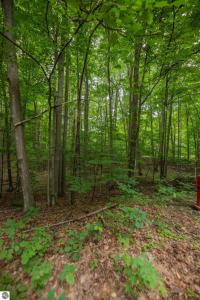 Lots 109 & 110 Lowen Strasse, Bellaire, מישיגן 49615, ארצות הברית של אמריקה 