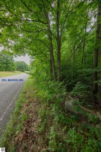 Lots 109 & 110 Lowen Strasse, Bellaire, מישיגן 49615, ארצות הברית של אמריקה 