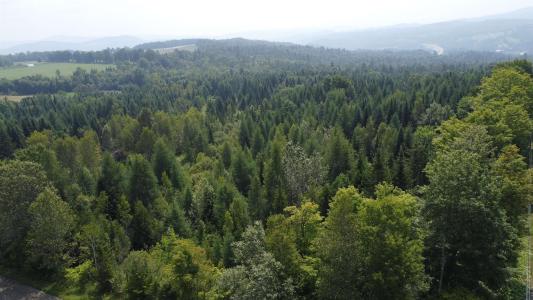 000 Old Coach Road 4, Lyndon, Вермонт 05851, Соединенные Штаты