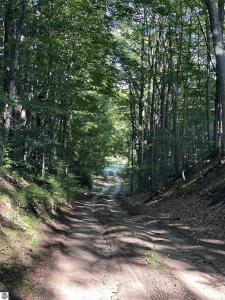 00 Hansel Strause E, Bellaire, מישיגן 49615, ארצות הברית של אמריקה 