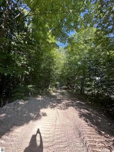 00 Hansel Strause E, Bellaire, מישיגן 49615, ארצות הברית של אמריקה 