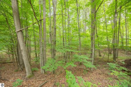 00 Hansel Strause E, Bellaire, מישיגן 49615, ארצות הברית של אמריקה 