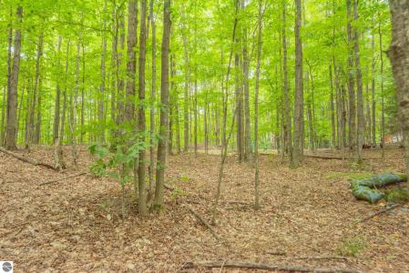 00 Hansel Strause E, Bellaire, מישיגן 49615, ארצות הברית של אמריקה 