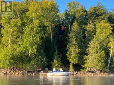 1119 WAMPUM ROAD, Dysart Et Al (dudley), Онтарио K0M 1S0, Канада