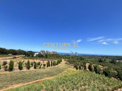 土地公埔段埔尾小段, Sanzhi Dist., New Taipei City 252, Taiwan