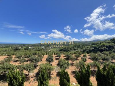 土地公埔段埔尾小段, Sanzhi Dist., Nuova Taipei 252, Taiwan