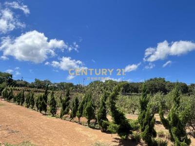 土地公埔段埔尾小段, Sanzhi Dist., Nuova Taipei 252, Taiwan