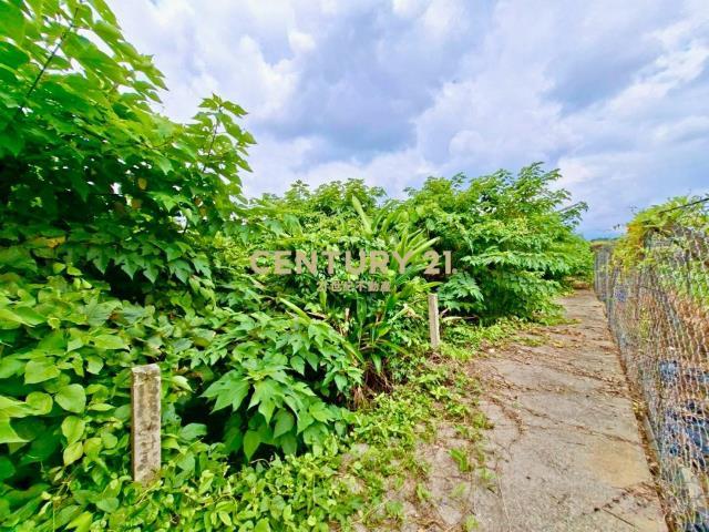 新南段, Xinshe Dist., Тайчжун 426, Тайвань