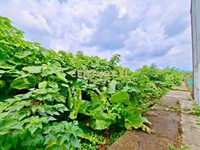 新南段, Xinshe Dist., Тайчжун 426, Тайвань