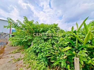 新南段, Xinshe Dist., Тайчжун 426, Тайвань