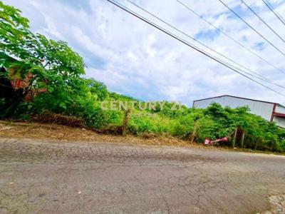 新南段, Xinshe Dist., Тайчжун 426, Тайвань