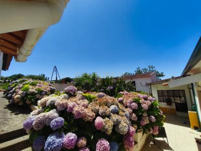 Alenquer, 葡京 2580-101, 葡萄牙