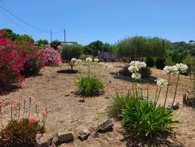 Alenquer, 葡京 2580-101, 葡萄牙