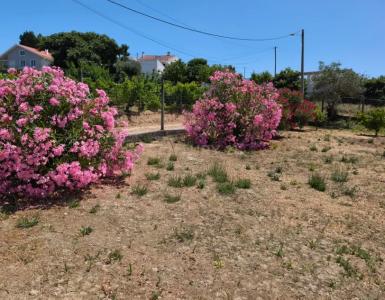 Alenquer, 葡京 2580-101, 葡萄牙