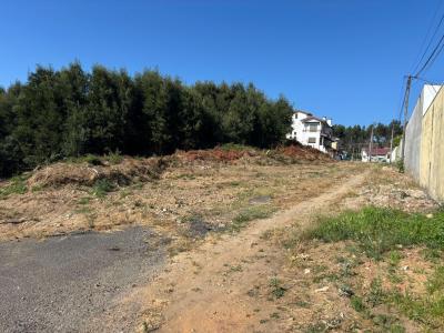 Gondomar, Porto 4510-618, Portugal