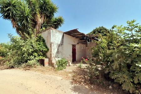 Tavira, פארו 8800-106, פורטוגל 