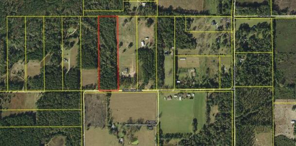 442 Eddie Blake Road, Quincy, Florida 32351, Stati Uniti