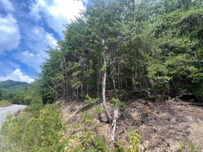 992 Bogard Creek Road, Cosby, Tennessee 37722