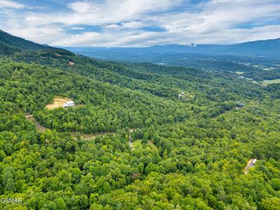 992 Bogard Creek Road, Cosby, Tennessee 37722