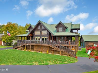 838 Pinnacle Drive, Dandridge, Tennessee 37725