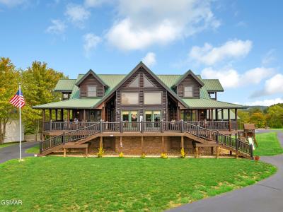 838 Pinnacle Drive, Dandridge, Tennessee 37725