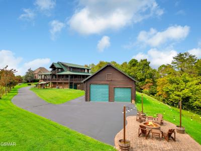 838 Pinnacle Drive, Dandridge, Tennessee 37725