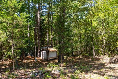 811 CR 1762, Linden, Texas 75563, Estados Unidos