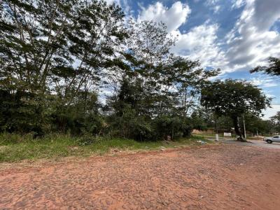 San Lorenzo, مركزي 00001, باراغواي