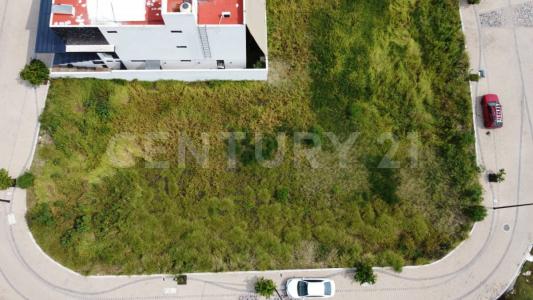 Camino a Vanegas, Fracc Carlota Clúster Flandes 76910 311- 64,, Corregidora, Querétaro 76900, Mexico