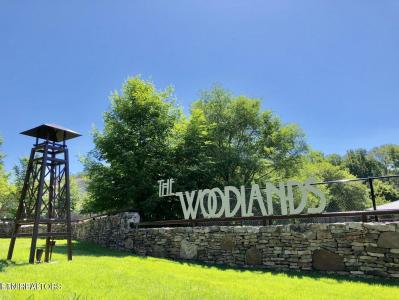 3720 Spruce Ridge Way , 2211, Knoxville, טנסי 37920, ארצות הברית של אמריקה