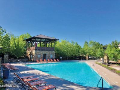 3720 Spruce Ridge Way , 2211, Knoxville, טנסי 37920, ארצות הברית של אמריקה 