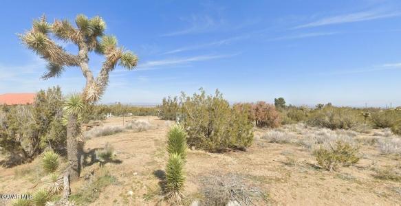 1048 Cholla Road APN 3067-091-17, Pinon Hills, 加利福尼亚州 92372, 美国