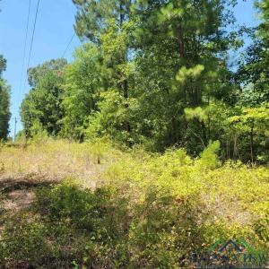 0000 Driskell Bridge RD, Harleton, Texas 75651