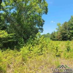 0000 Driskell Bridge RD, Harleton, Texas 75651