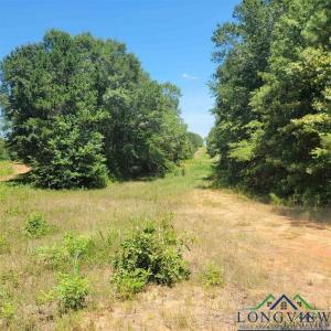 0000 Driskell Bridge RD, Harleton, Texas 75651