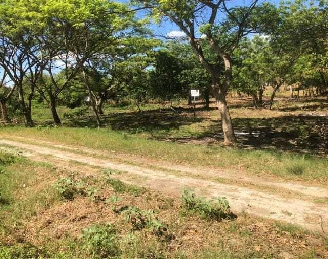 San Rafael De Sur, Managua 0, Nicaragua