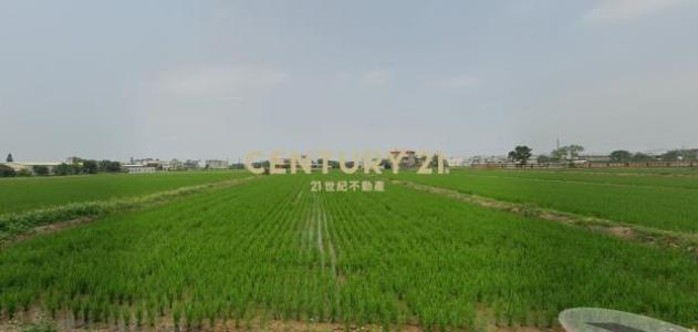 和興段, Hukou Township, Hsinchu County 303, Taiwan