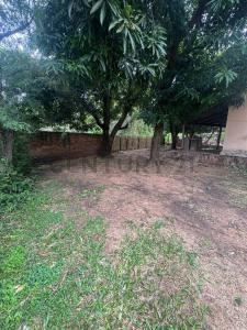 Juan Bautista Egusquiza , Ypané, Centralizzato 00001, Paraguay