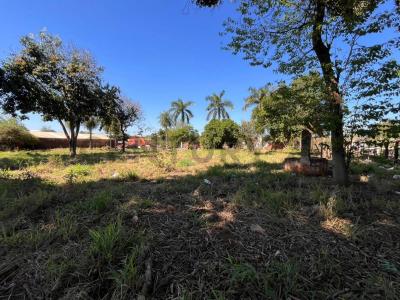 Julián Augusto Saldívar, Central 00001, Paraguai