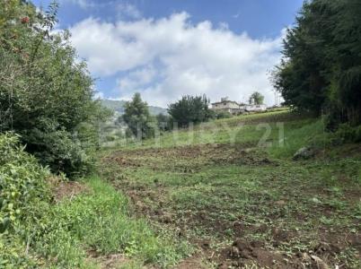 11158 Nayarit 11,, Isidro Fabela, 墨西哥州 54483, 墨西哥