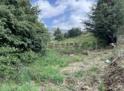 11158 Nayarit 11,, Isidro Fabela, 墨西哥州 54483, 墨西哥