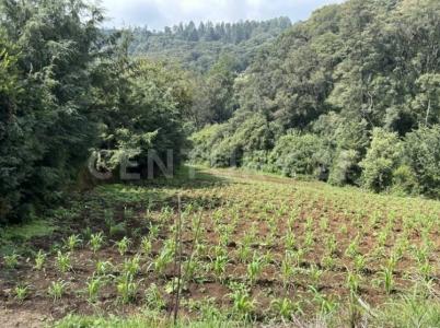 11158 Nayarit 11,, Isidro Fabela, 墨西哥州 54483, 墨西哥